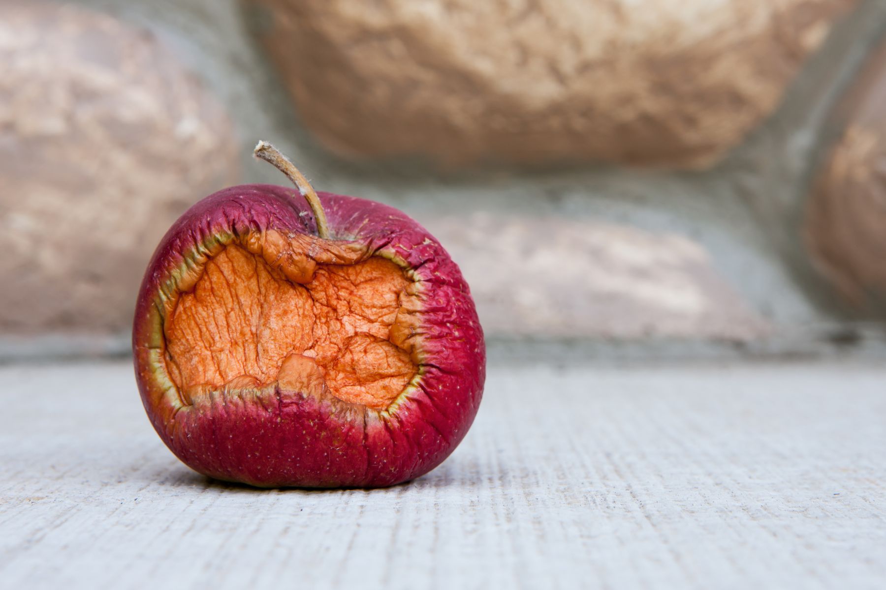 Comment éviter que les fruits ne pourrissent pas sur l arbre Verger