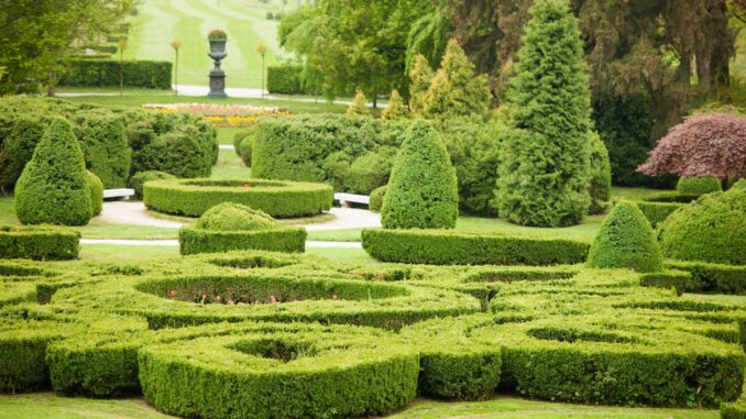 comment faire un jardin à la française chez soi ?