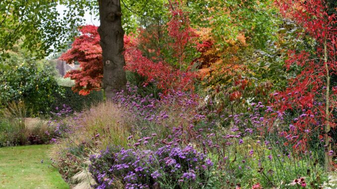 comment faire un jardin à l’anglaise chez soi ?