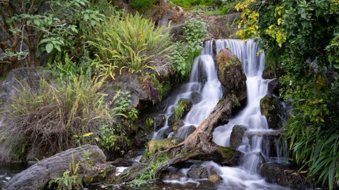 comment créer un jardin zen guide étape par étape