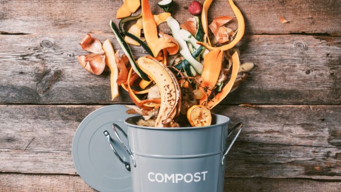 faire son compost guide étape par étape