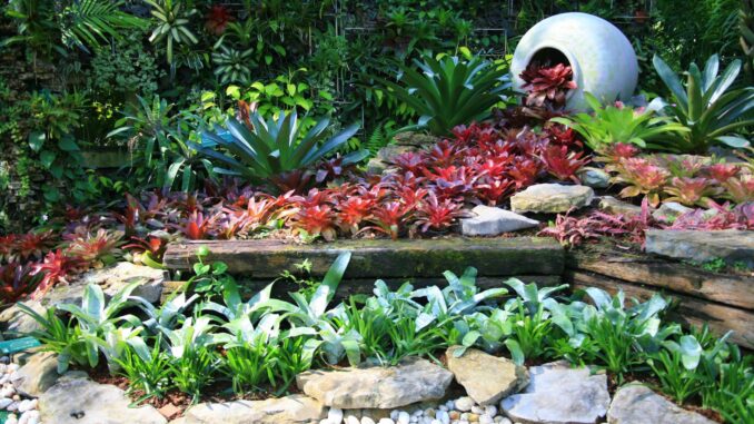 cultiver un jardin tropical dans un climat tempéré