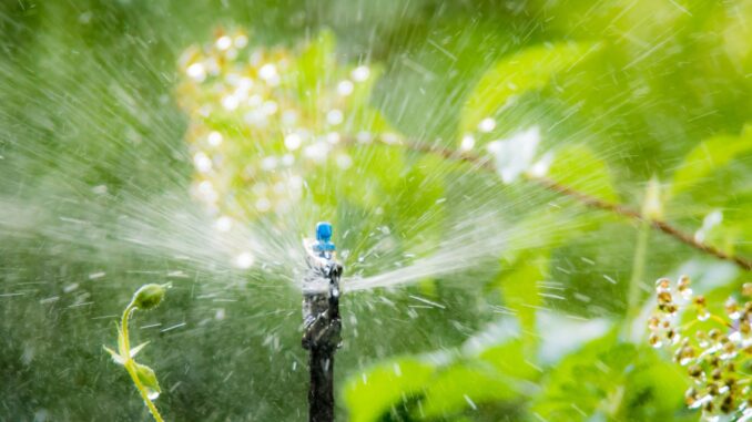 les avantages d'un système d'irrigation automatique