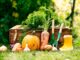 quels sont les différents outils de jardinage ?